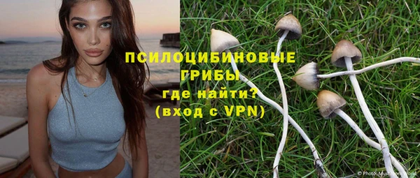 прущие грибы Богданович