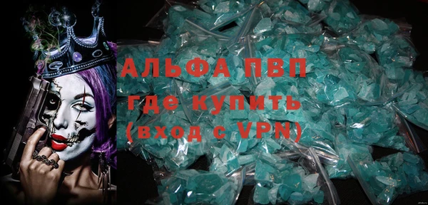 прущие грибы Богданович