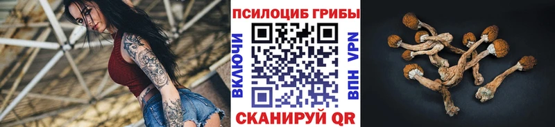 Галлюциногенные грибы мухоморы  Саяногорск 