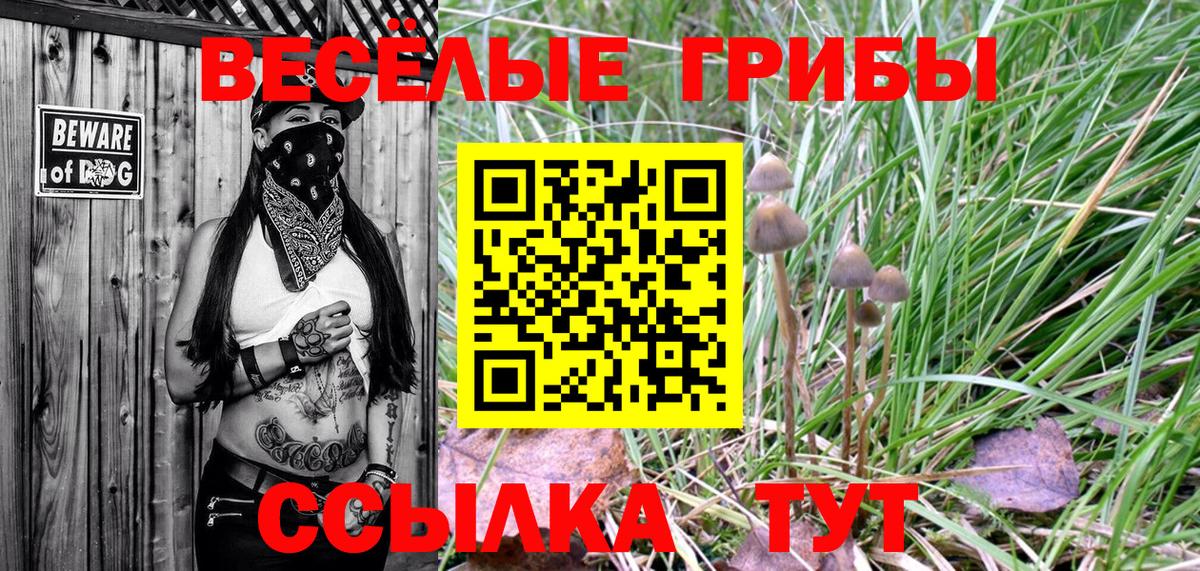 Саяногорск  Галлюциногенные грибы мицелий  Вход с VPN 